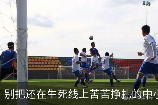 别把还在生死线上苦苦挣扎的中小企业，当成社保严管的靶子
