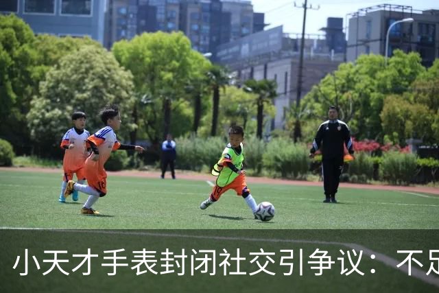 小天才手表封闭社交引争议：不足三成销量贡献超半数销售额，销售额份额排名第一；华为加速追赶