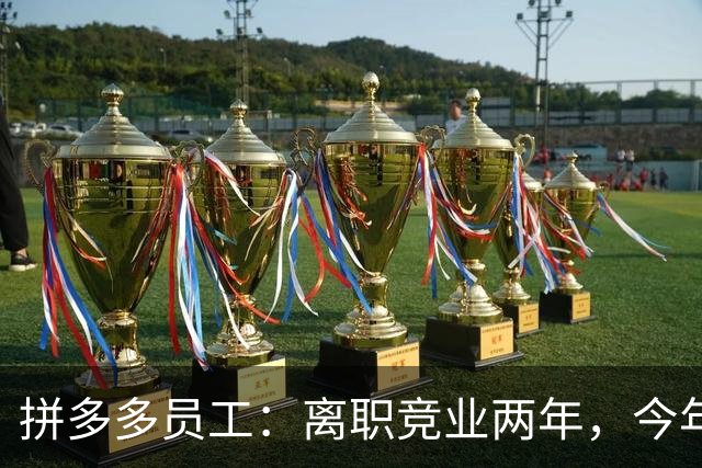 拼多多员工：离职竞业两年，今年考上上海事业单位。这总不在限制名单上吧，已上班