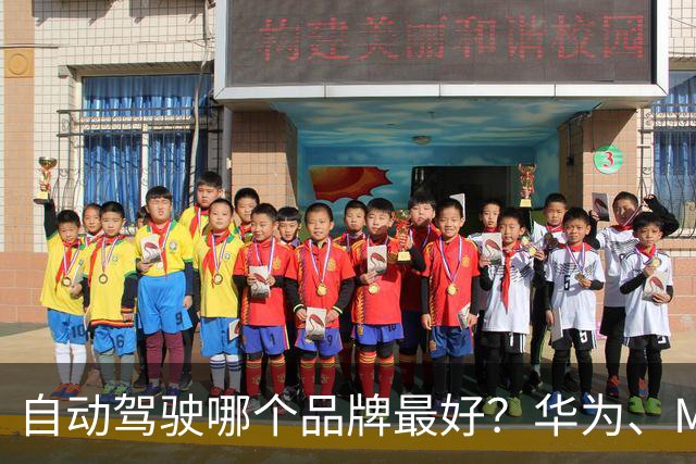 自动驾驶哪个品牌最好？华为、Momenta、地平线、卓驭实力大盘点