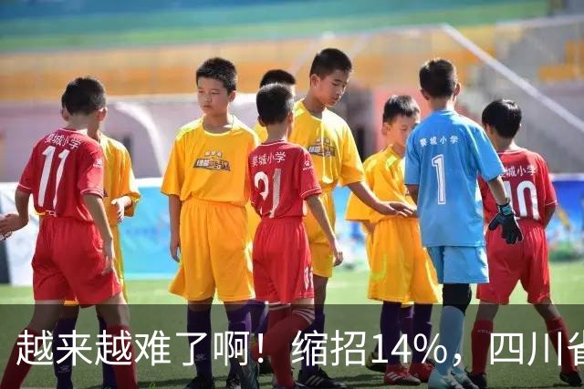 越来越难了啊！缩招14%，四川省考2027招录10863人，其实最该研究的是大一和未高考家庭