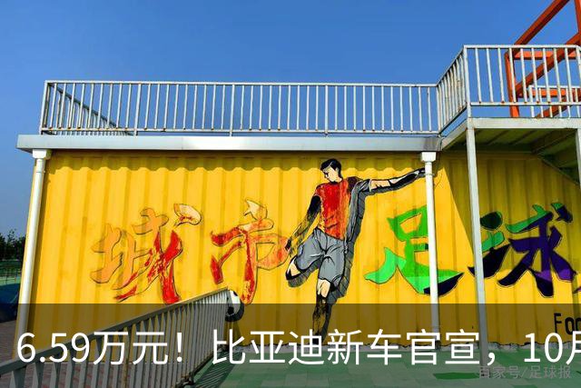 6.59万元！比亚迪新车官宣，10月21日开售